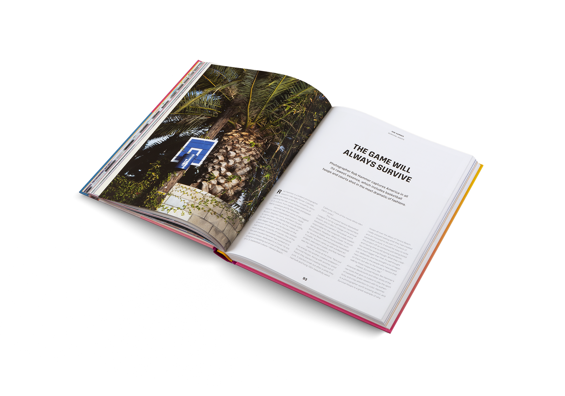 Courtside Candy − The Culture and Influence of Basketball