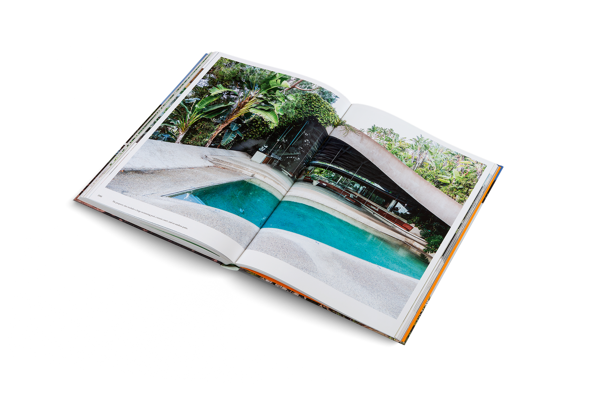 Modernist Icons: Midcentury Houses and Interiors