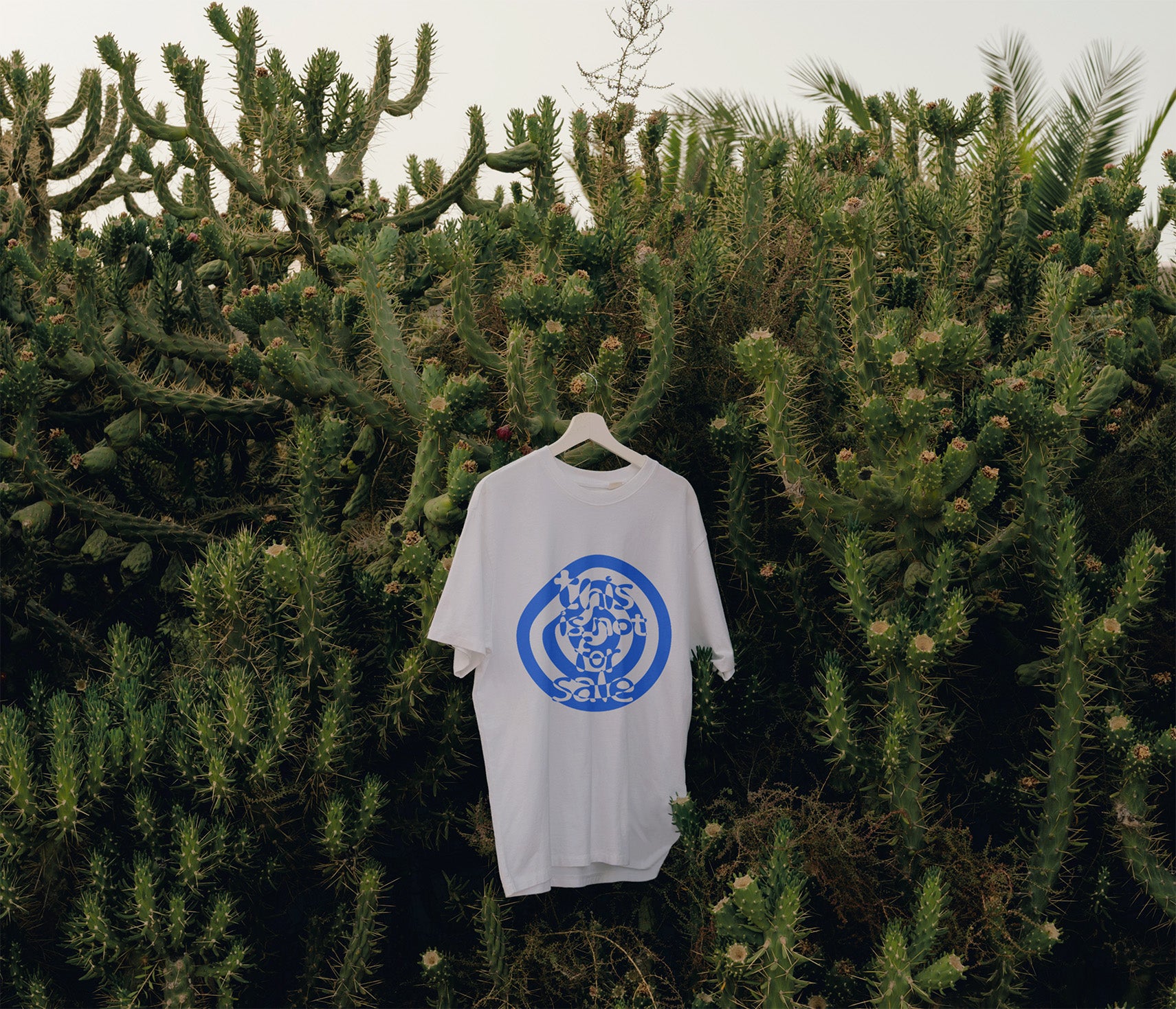 White T-Shirt with Blue Print of This is not for sale artwork hanging in trees